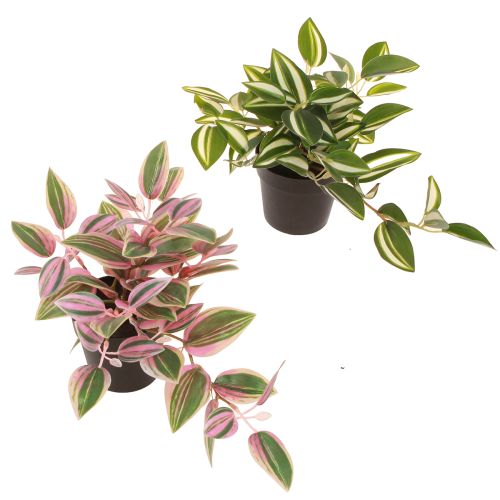 Tradescantia Konstgjord grön växt i kruka H19,5cm 2st