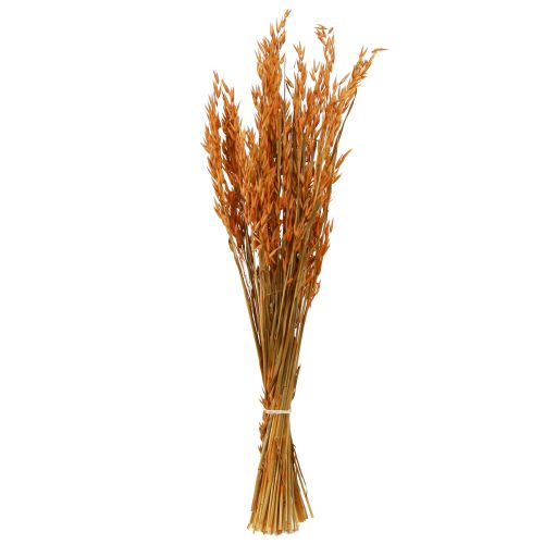 Artikel Dry Deco Oat Deco i Orange L64cm 70-75g 2st