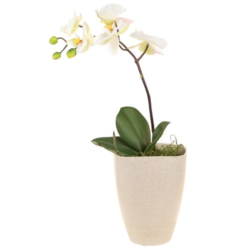 Orkidékruka blomkruka plast beige fläckig 13,5x13cm H16,5cm 4st