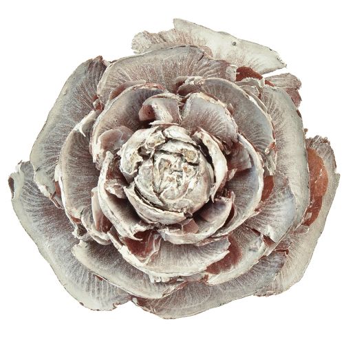 Artikel Cederkottar skurna som rosencederrosa 4-6cm vit/naturlig 50st