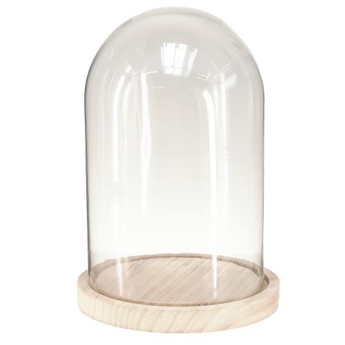 Artikel Glasklocka oval träbotten glasöverstycke klar natur Ø17cm H24cm