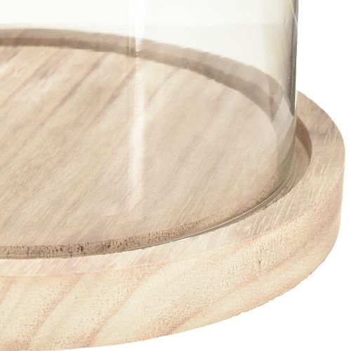 Artikel Glasklocka oval träbotten glasöverstycke klar natur Ø17cm H24cm