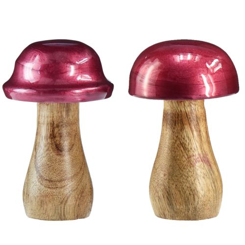 Träsvampar dekorativa svampar trä röd glans Ø6cm H10cm 2st