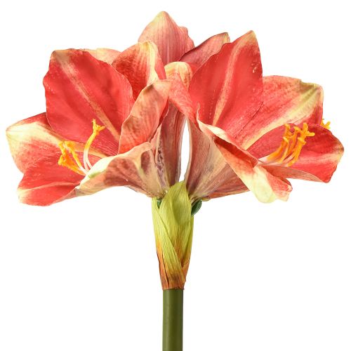 Artikel Konstgjord Amaryllis Rosa och Kräm – Stor stjälkblomma 76cm