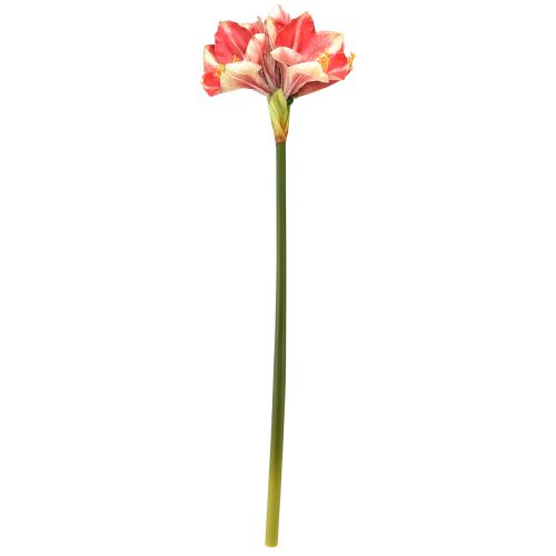 Artikel Konstgjord Amaryllis Rosa och Kräm – Stor stjälkblomma 76cm