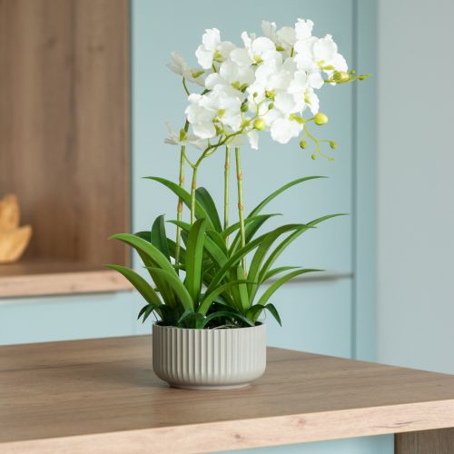 Konstgjorda orkidéer konstgjorda blommor i kruka vit 60cm