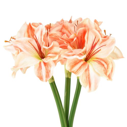 Floristik24 Konstgjord riddarstjärna Konstgjorda blommor Vit Röd Orange Amaryllis 40cm 3st