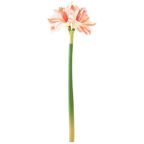 Artikel Konstgjord riddarstjärna Konstgjorda blommor Vit Röd Orange Amaryllis 40cm 3st