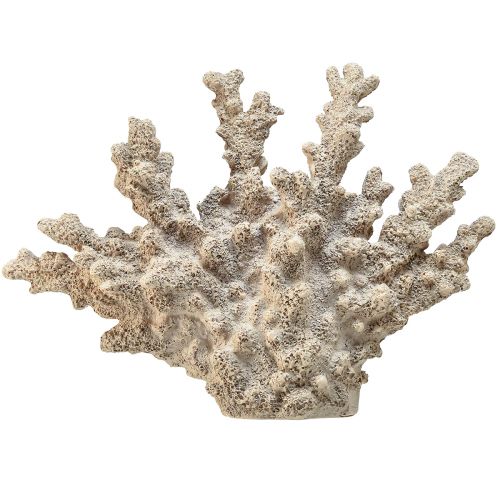 Detaljerad koralldekoration av polyresin i grått - 26 cm - maritim elegans för ditt hem