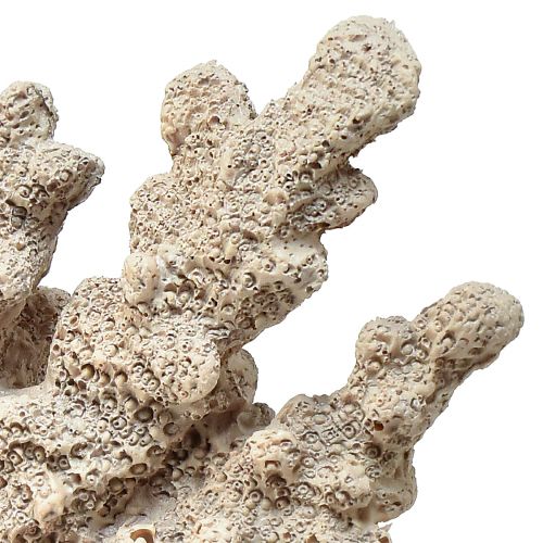 Artikel Detaljerad koralldekoration av polyresin i grått - 26 cm - maritim elegans för ditt hem