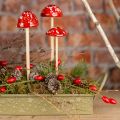 Floristik24 Paddsvamp på pinne, röd, 4 cm, set om 6 - dekorativa trädgårdssvampar för höstdekoration