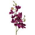 Floristik24 Liten orkidé Phalaenopsis konstgjord blomma mörklila 30cm