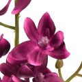 Floristik24 Liten orkidé Phalaenopsis konstgjord blomma mörklila 30cm