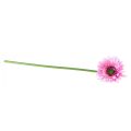 Floristik24 Konstgjorda Blommor Gerbera Trädgård Konstgjorda Blommor Rosa 47cm