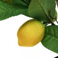 Floristik24 Konstgjord citronträd i kruka Citronträd H65cm
