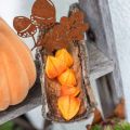 Floristik24 Physalis Orange Assorted 22st dekorativa konstgjorda blomblomsblommor