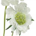 Floristik24 Scabios konstgjord blomma vit trädgårdsblomma H64cm knippe med 3 stycken