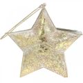 Floristik24 Dekorativ stjärnmetall för att hänga och dekorera Golden Ø13cm