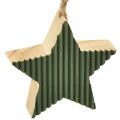 Floristik24 Julgranshänge i trä, hjärt-gran-stjärna, mintgrön-vit, 4,5 cm, 9 delar - Juldekoration