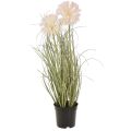 Floristik24 Konstgjorda blommor dekorativ bollblomma allium prydnadslök konstgjord 54cm