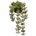 Floristik24 Grön växt konstgjord pärlsnöre i mossakula 38cm
