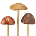 Floristik24 Dekorativa svampar på pinne, brun, 5,5 cm, 6 stycken - höstlig trädgårds- och vardagsrumsdekoration
